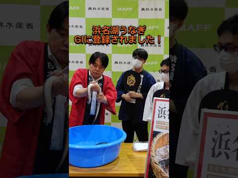 浜名湖うなぎ、GIに登録されました！ #農林水産副大臣 #山下雄平 #GI登録