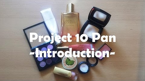My 1st Project 10 Pan - Introduction
