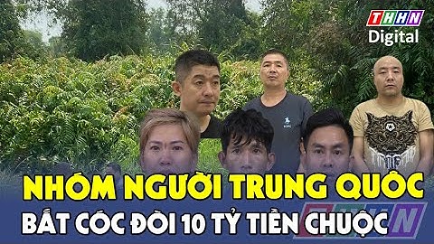 Băng nhóm người Trung Quốc bắt cóc, đòi 10 tỷ đồng tiền chuộc | Hà Nam TV