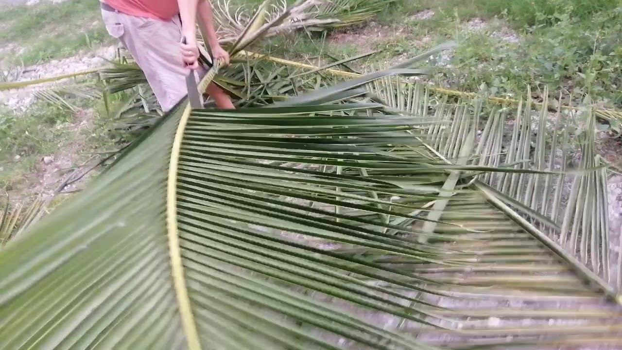 How to Make Walis Tingting - YouTube