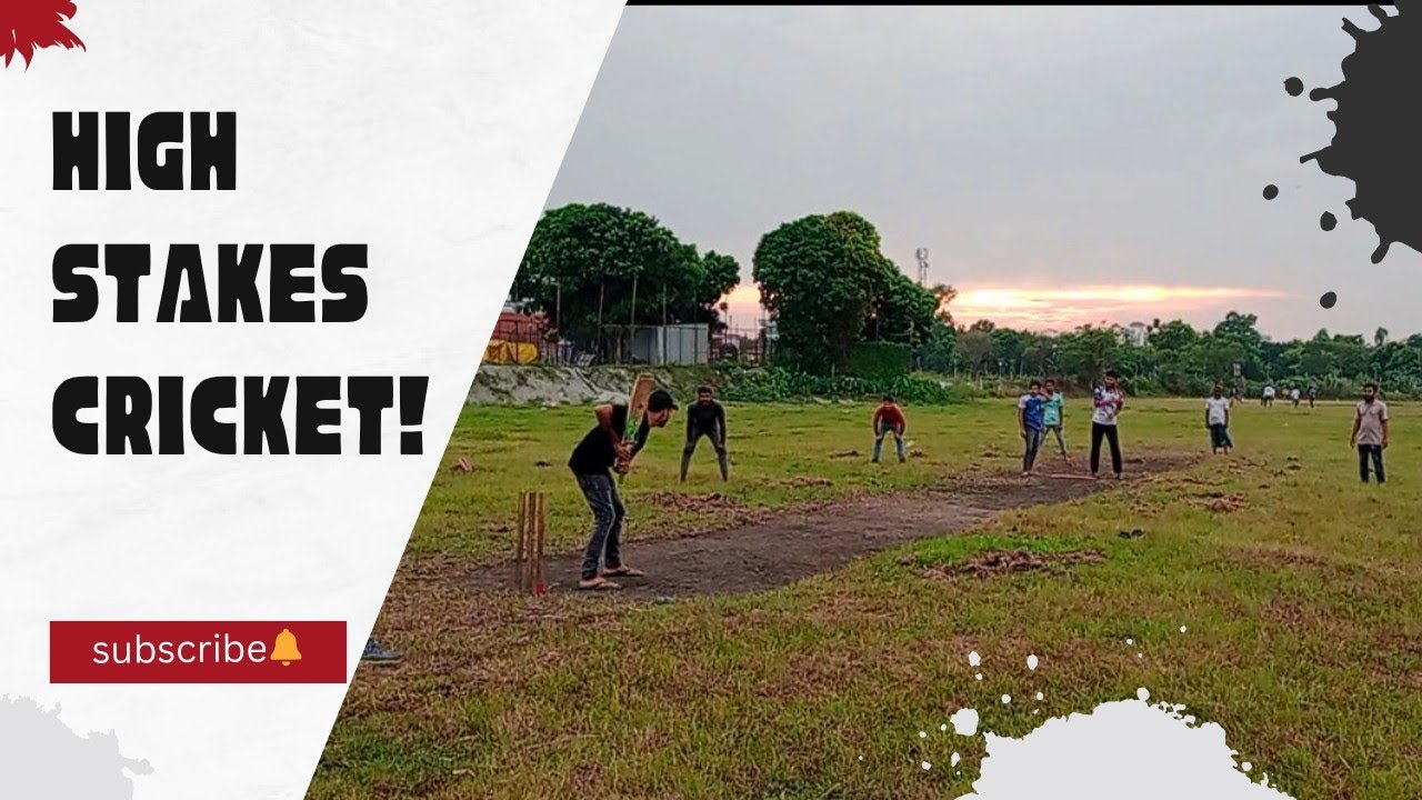 High Stakes Cricket😯😯