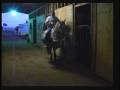Tisoc De Rancho La Caridad