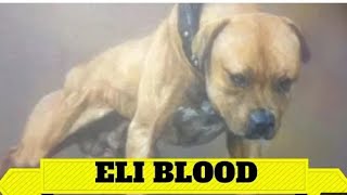 Tribute Of Eli Blood