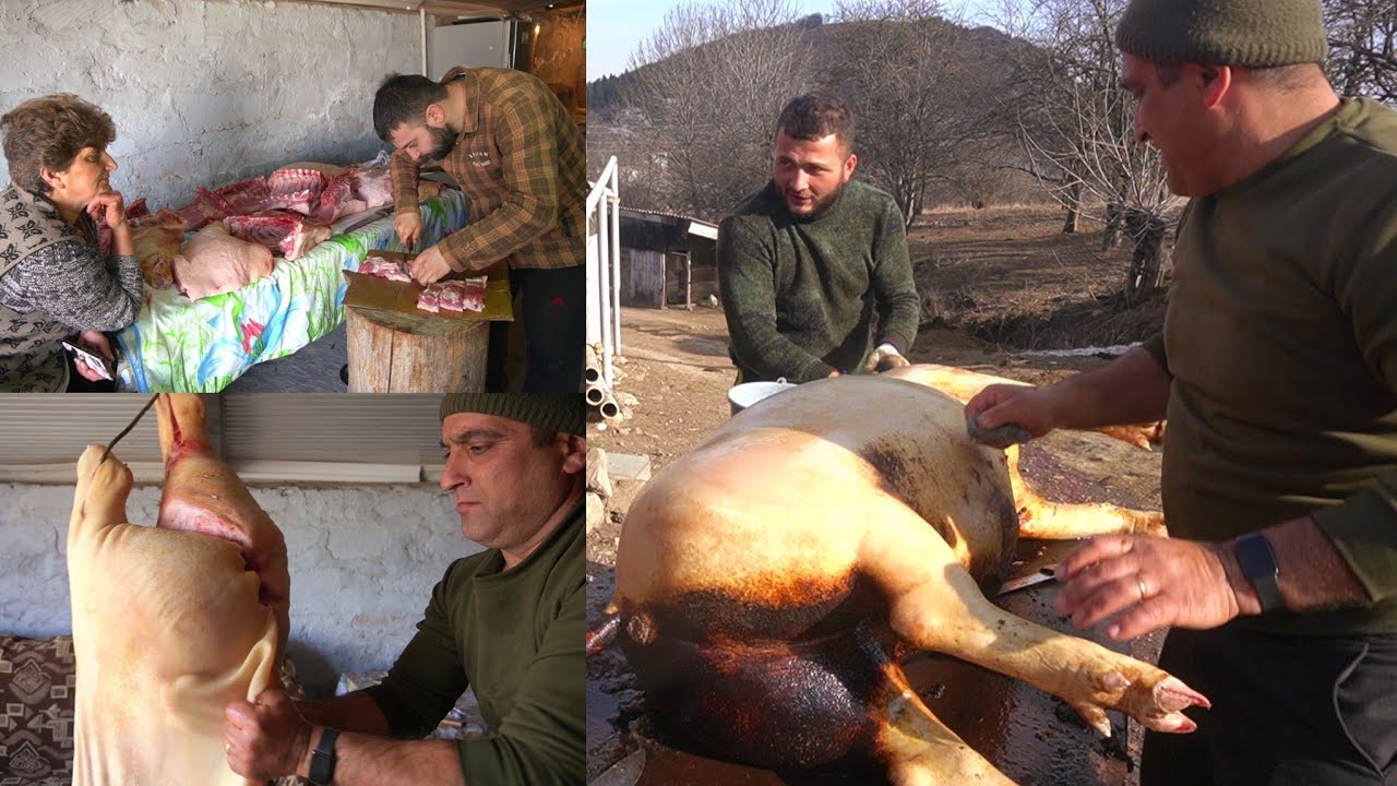 Էս էլ ՄԱՅՐԻԿԻՍ ՆՈՐ ՏԱՐՎԱ ԽՈԶԸ - Շամշադինի Համը - Шамшадин 