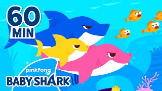 Baby Shark Doo Doo Doo 60 Min Compilation Baby Shark Remix Baby Shark Official