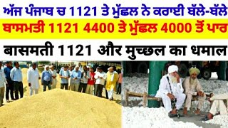  1121 4400   4000  Basmati 1121 1718 Rice Price Today In Punjab Cotton Price Today
