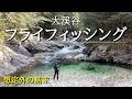 初めてのフライフィッシング。不測のトラブルとまさかの結末(と爆釣)【渓流釣り】