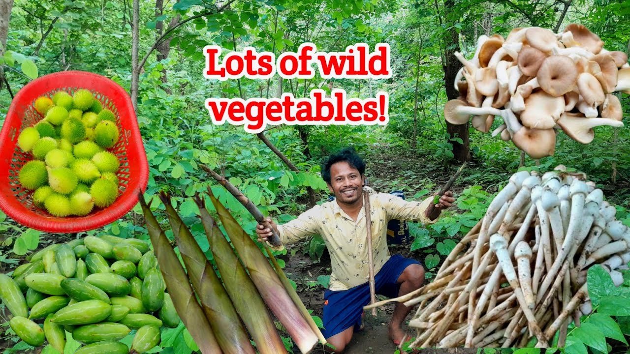 Jangli Sabji | Mushroom, Bamboo Shoots, | Lots of Vegetable | Village Life Village Cooking 