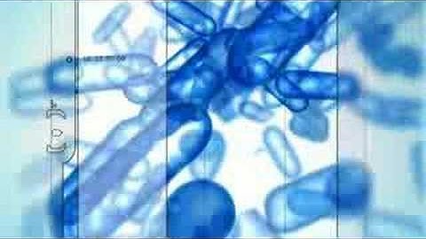 Halo 2 - Bungie Intro