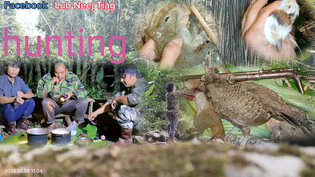 Hunting Went To Shoot Squirrels For Dinner Tua Nas Dle Tsawb Thiab hunting-went-to-shoot-squirrels-for-dinner-tua-nas-dle-tsawb-thiab