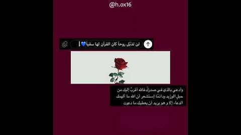 آيات من سورة السجدة 🍁🍂🌿🍃🕊️