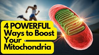 4 POWERFUL Ways to Boost Your Mitochondria