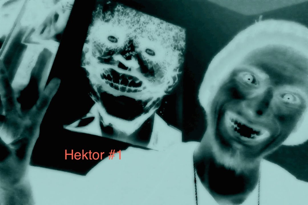 Ninja Plays! Hektor!