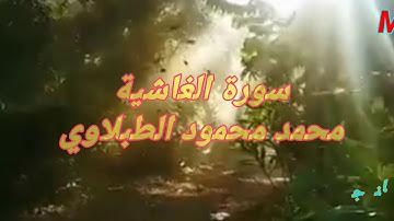 تلاوة رائعة للشيخ محمد محمود الطبلاوي سورة الغاشية