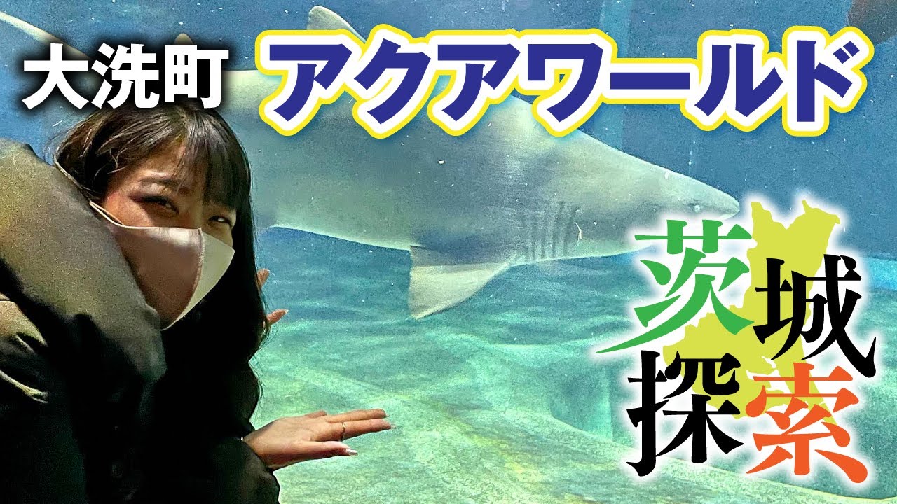 【茨城探索】アクアワールド　大洗水族館に行ってきました。日本一多くの種類のサメがいます。日本一巨大なマンボウの水槽も必見です。　　　　【茨城県大洗町】【vlog】