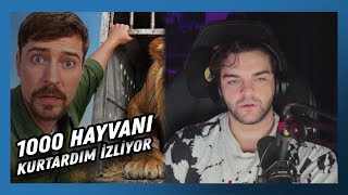 Ebonivon - 1000 Hayvanı Ölümden Kurtardım İzliyor Mrbeast