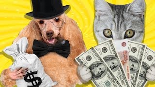 Dünyanın En Zengin 10 Hayvanı