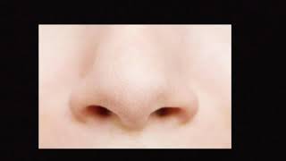 Class 4 -EVS- lesson 1- module 2