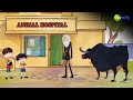    animal hospital  bandbudh aur budbak  comedy scene  zee kids