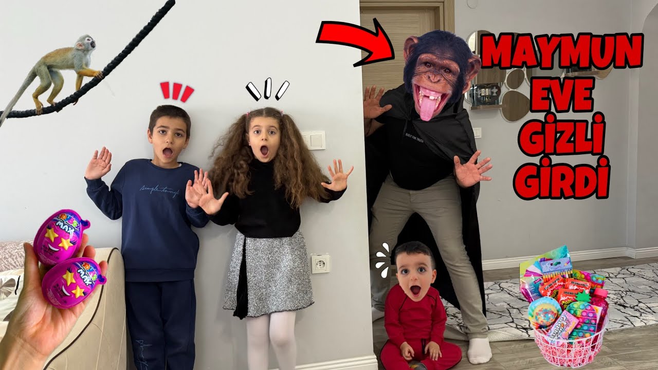 KAÇAK MAYMUNU YAKALAMA OPERASYONU!!POYRAZ ELİF!!