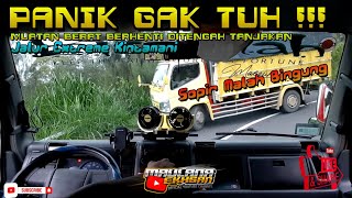 PANIK GAK TUH ‼️ Truk Gak Kuat Nanjak, Cuma Gara-Gara Ini..‼️Jalur Extreme Kintamani