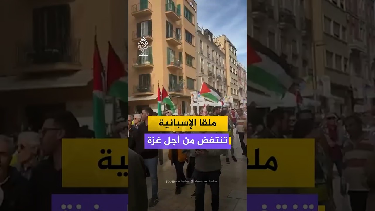 بعدسة الجمهور.. مظاهرة في مدينة ملقا جنوبي إسبانيا دعما لغزة