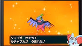 ポケモンxy タマゴ 孵化 早める方法 Youtube