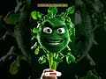 🥬 O AGRIÃO FALANTE QUE POUCOS SABEM 😳#agriao #frutafalante #saude #nutricao#shorts #viral