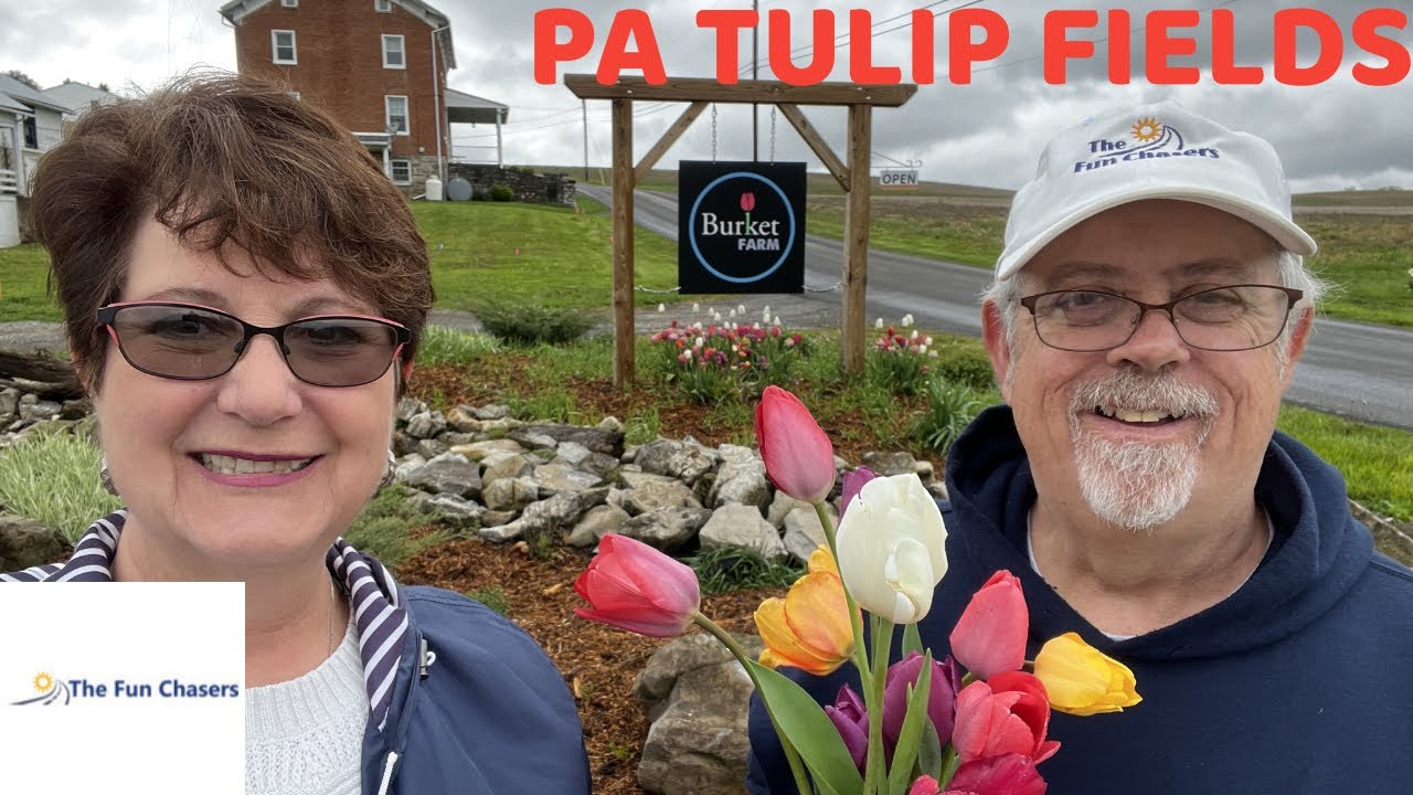 PA Tulip Fields Burket Farm YouTube