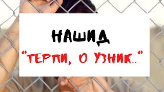 Нашид Исбир фа иннака йа Асир (Терпи, о узник..) с переводом #нашид2022 Resimi