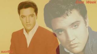 ELVIS PRESLEY - IF I'M A FOOL FOR LOVING YOU