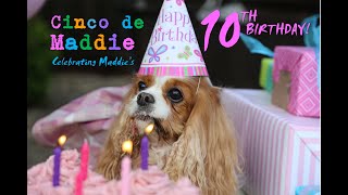Cinco de Maddie – 10th Birthday Party