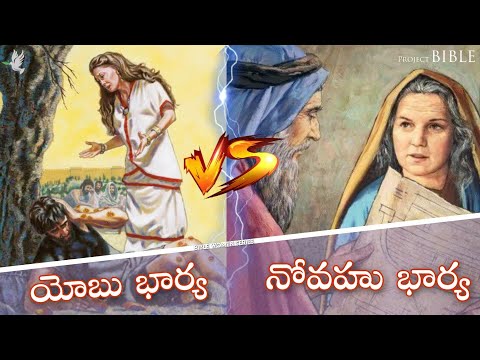 నోవహు మరియు యోబు భార్యల మధ్య వ్యత్యాసం // Difference between wives of noah & job // PROJECT BIBLE