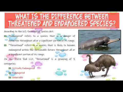 PPT On ENDANGERED SPECIES - YouTube