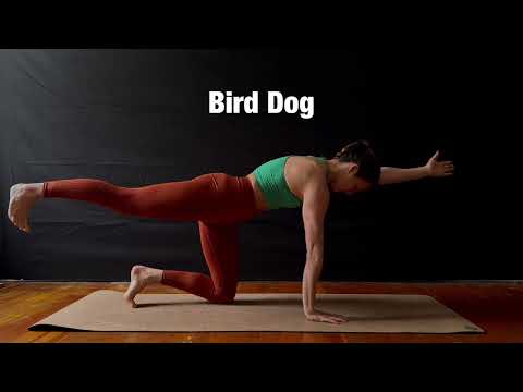 Bird Dog Pose