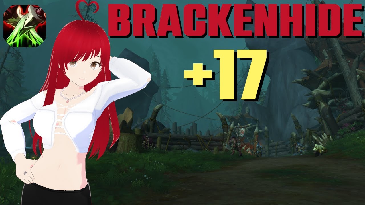 +17 Brackenhide Hollow 🍉 Assassination Rogue 🍉 Fortified - DF S4