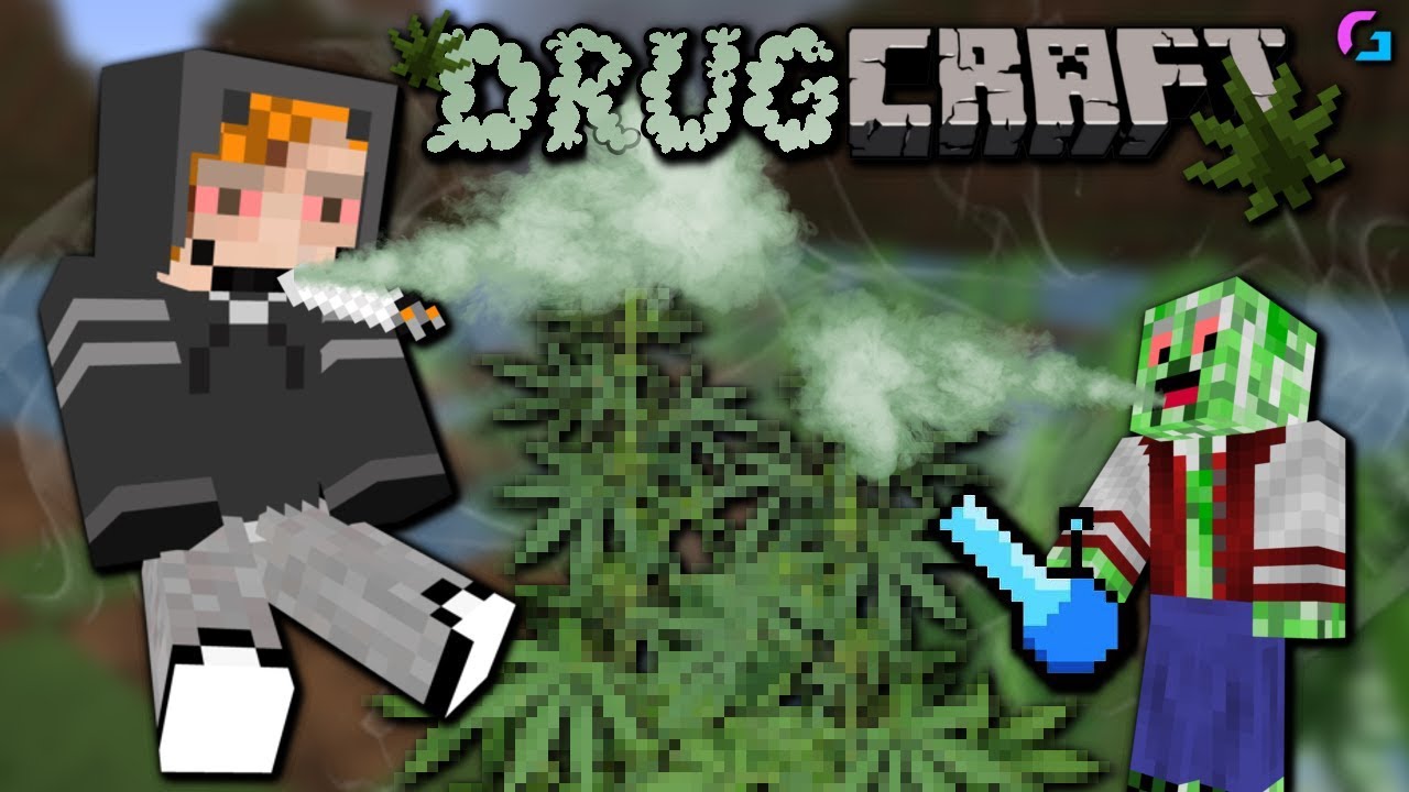 Plantação de maconha mal sucedida no Minecraft O. X IN bi MD dp