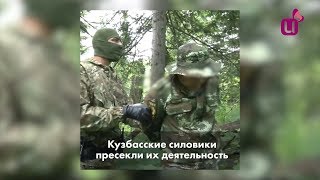 Поймали вооруженную банду золотодобытчиков