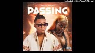 Delma Silva feat Dj Taba Mix  - Passing (Áudio Oficial)