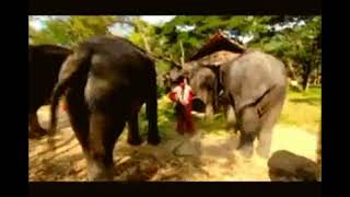 Thailand and Cambodia