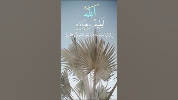 الله لطيف بعباده ❤😌 ياسر الدوسري 💖 سورة الشورى 💛
