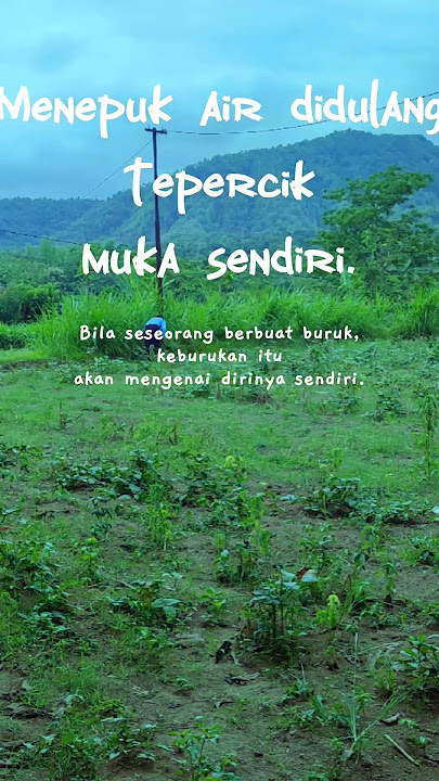 Menepuk air di dulang, tepercik muka sendiri #shorts #pribahasa