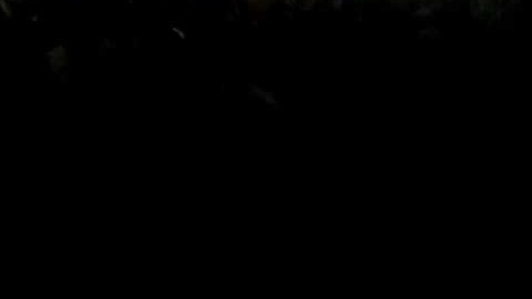 Alpha Alpha Probate Spring 2009 Intro pt 2