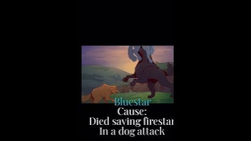 Warrior cat deaths that make fans cry/ not mine