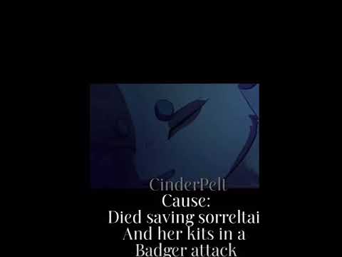 Warrior cat deaths