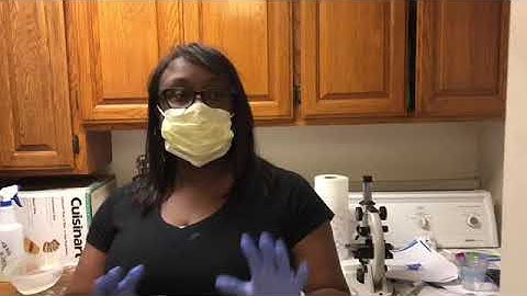 Bacterial Morphology and Staining Techniques Part 2