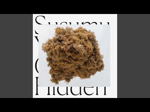 Susumu Yokota — Direct Transmission