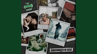Ghici cine cu Arssura