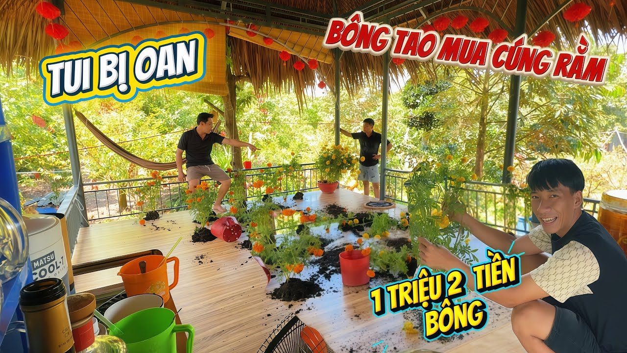 Minh sây cải sanh tử lửa khi bị già 2 ném đá giấu tay tởn tới già | HoàiPhong TV