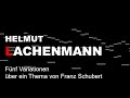 Miniature de la vidéo de la chanson Fünf Variationen Über Ein Thema Von F. Schubert